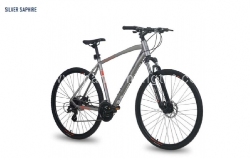 Xe đạp HIU022-700C bạc