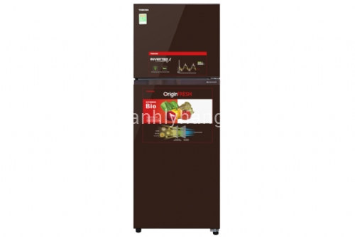 Tủ lạnh tosiba GR-AG36VUBZ XB1